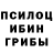 Галлюциногенные грибы Cubensis Maxim Terehin