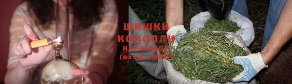 мдпв Россошь