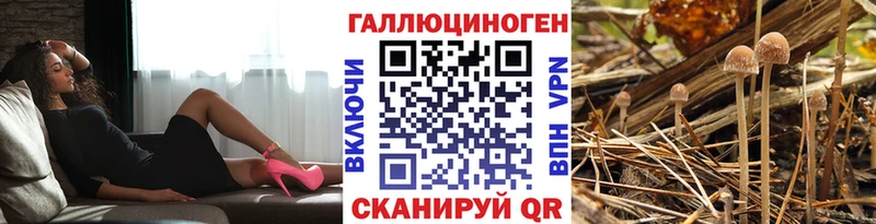 Псилоцибиновые грибы мухоморы Ирбит